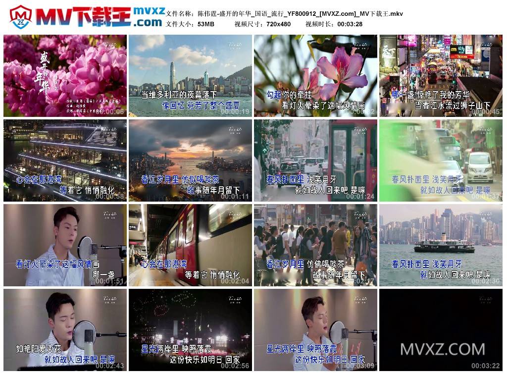 陈伟霆-盛开的年华_国语_流行_YF800912